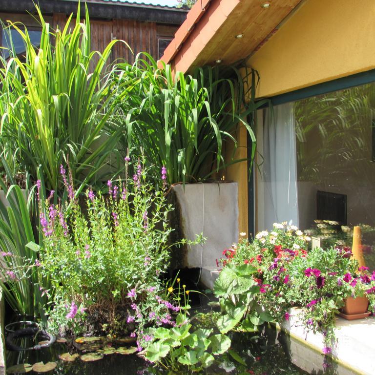 Ferienwohnung "Eifelstueffje" เมเคอร์นิค ห้อง รูปภาพ