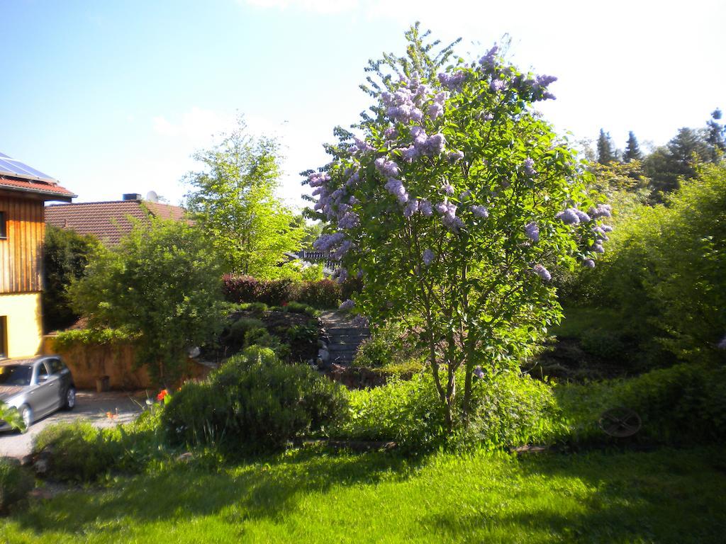 Ferienwohnung "Eifelstueffje" เมเคอร์นิค ห้อง รูปภาพ
