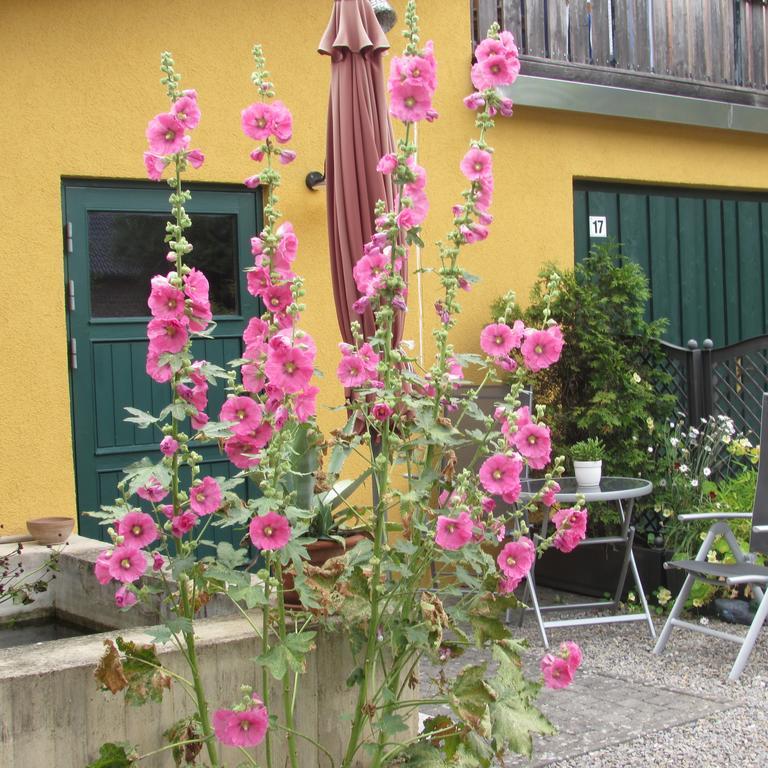 Ferienwohnung "Eifelstueffje" เมเคอร์นิค ภายนอก รูปภาพ