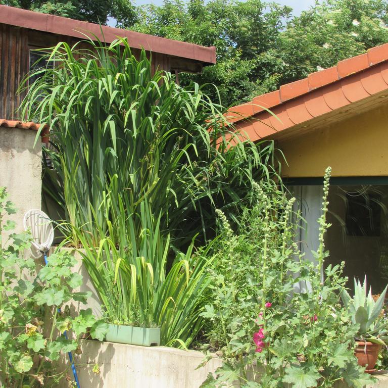 Ferienwohnung "Eifelstueffje" เมเคอร์นิค ภายนอก รูปภาพ